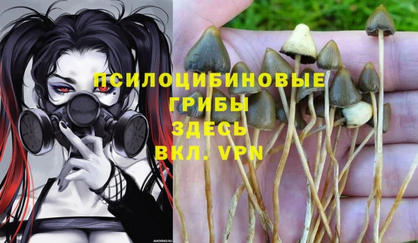 прущая мука Алексеевка