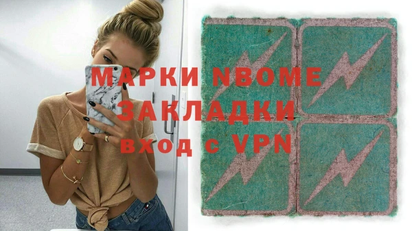 мет Алексин