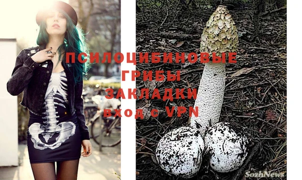 прущая мука Алексеевка